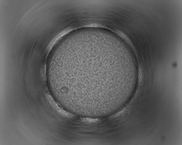 X0000116560831200912311931