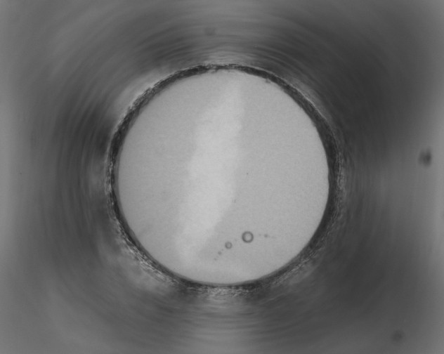 X0000116560832200912311931