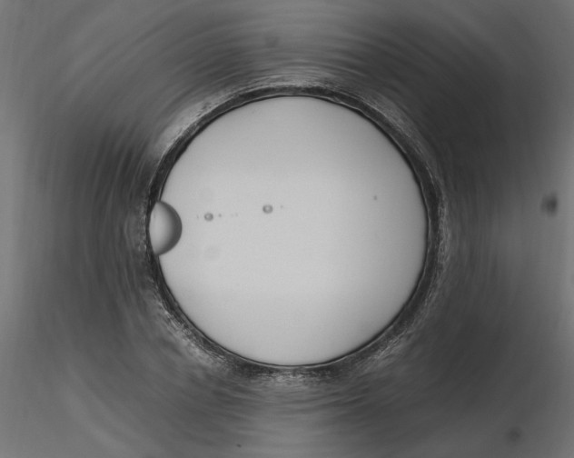 X0000116560834200912311931