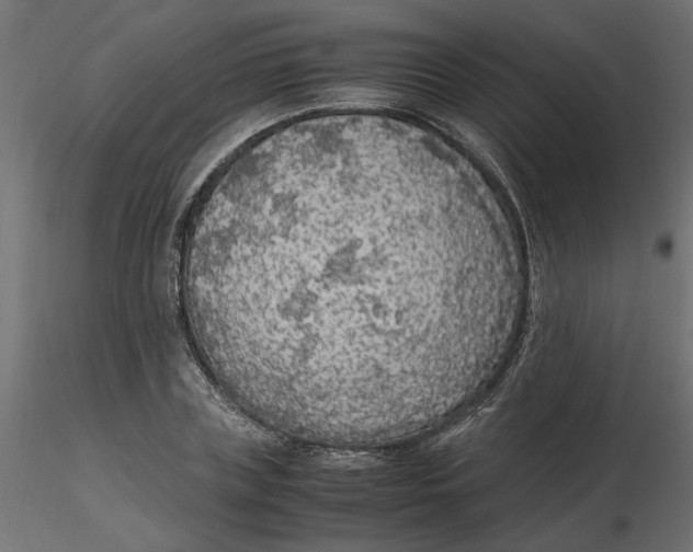 X0000116560835200912311931