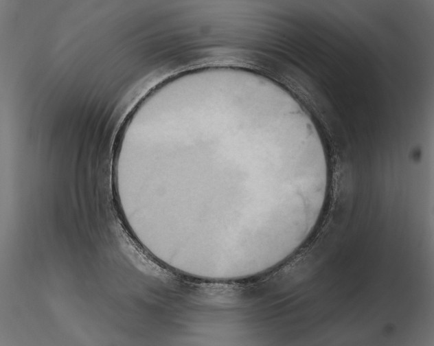 X0000116560836200912311931