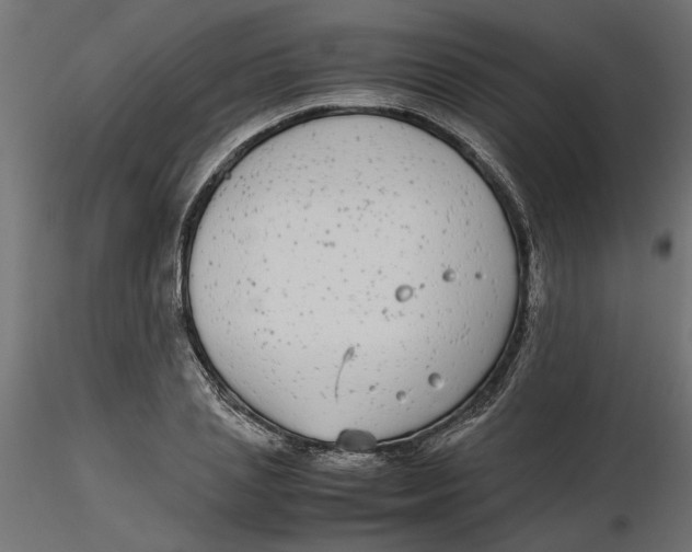 X0000116560837200912311931