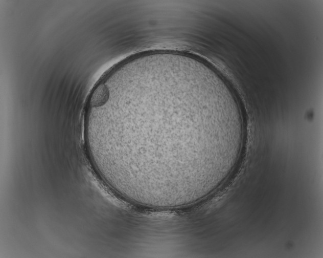 X0000116560838200912311931