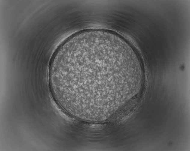 X0000116560839200912311931