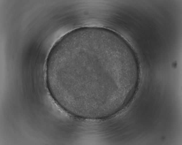 X0000116560840200912311931