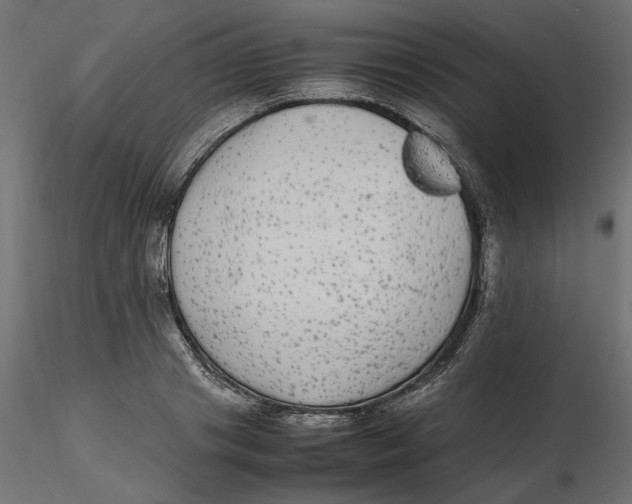 X0000116560841200912311931