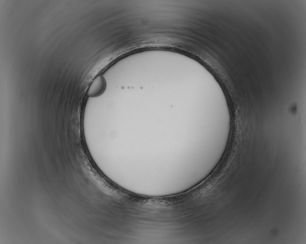 X0000116560842200912311931