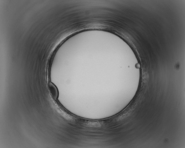 X0000116560843200912311931