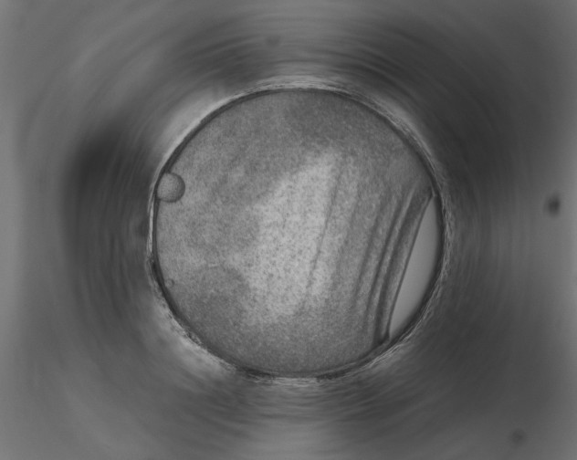 X0000116560844200912311931