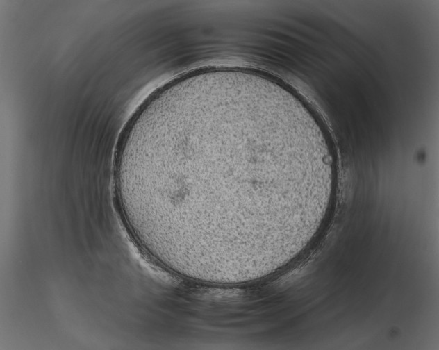 X0000116560845200912311931