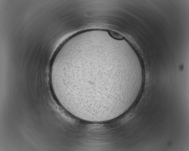 X0000116560846200912311931