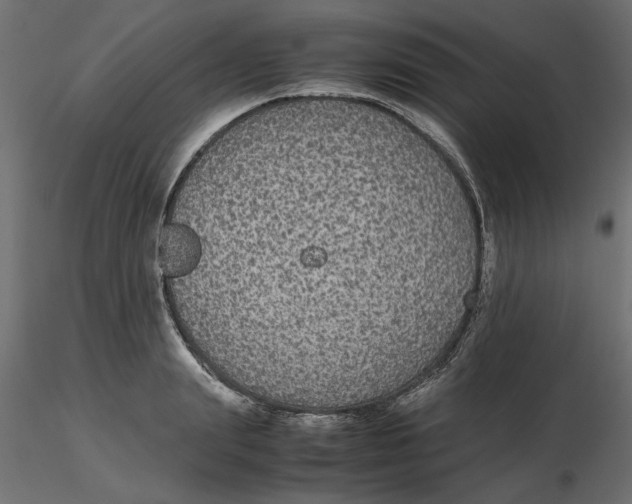 X0000116560847200912311931