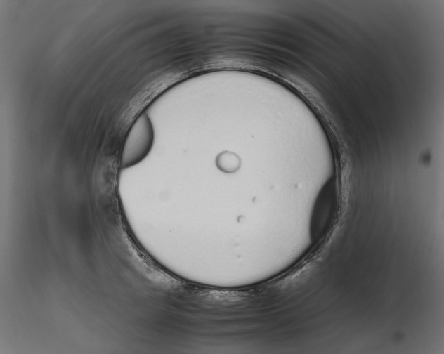 X0000116560849200912311931