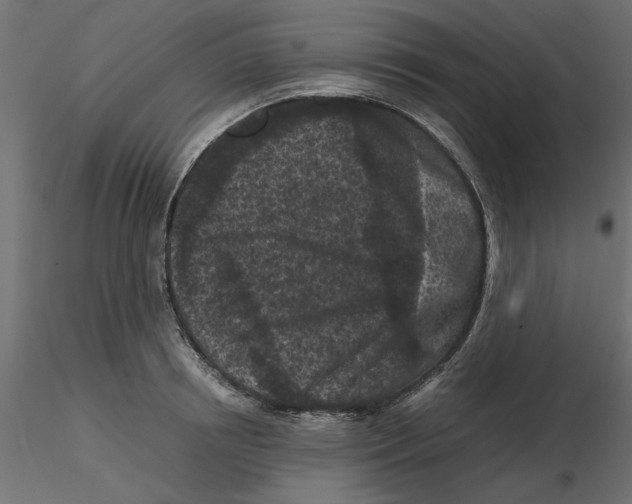 X0000116560850200912311931