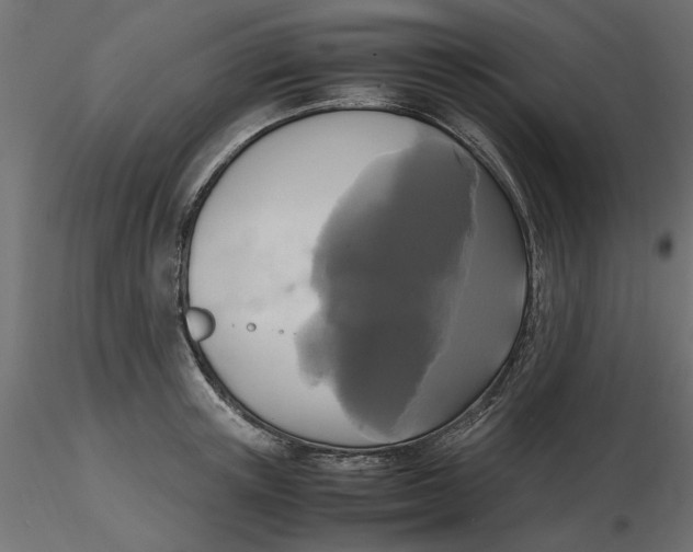 X0000116560851200912311931