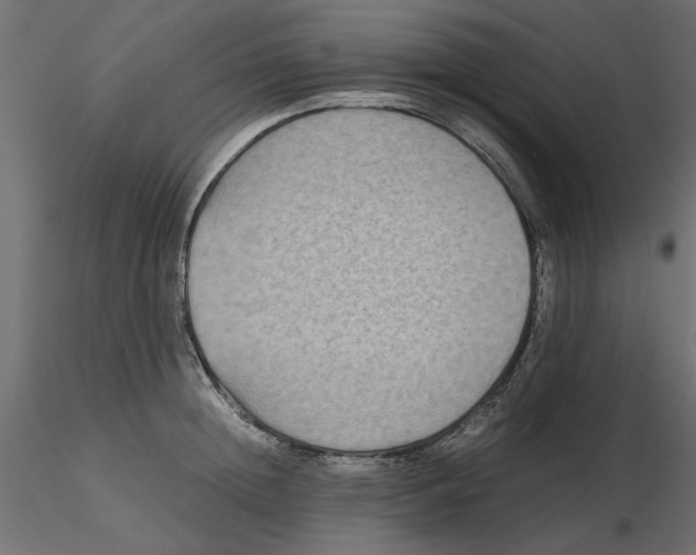 X0000116560852200912311931