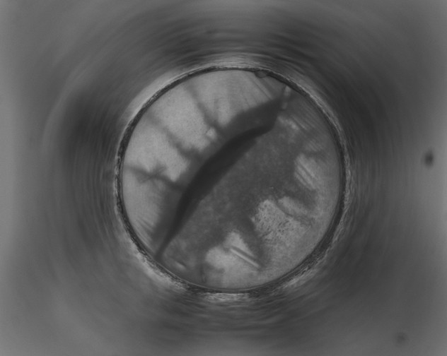 X0000116560853200912311931