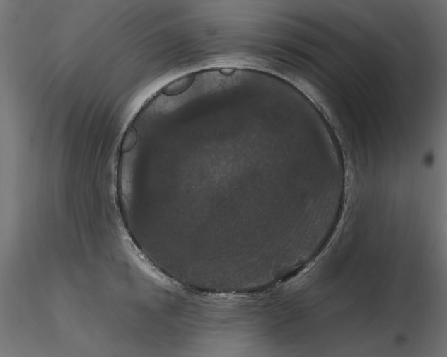 X0000116560854200912311931