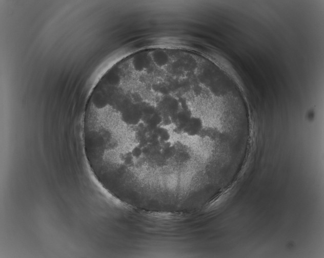 X0000116560855200912311931