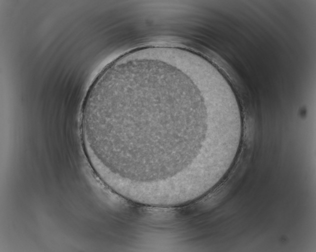 X0000116560856200912311931