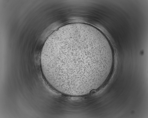 X0000116560857200912311931