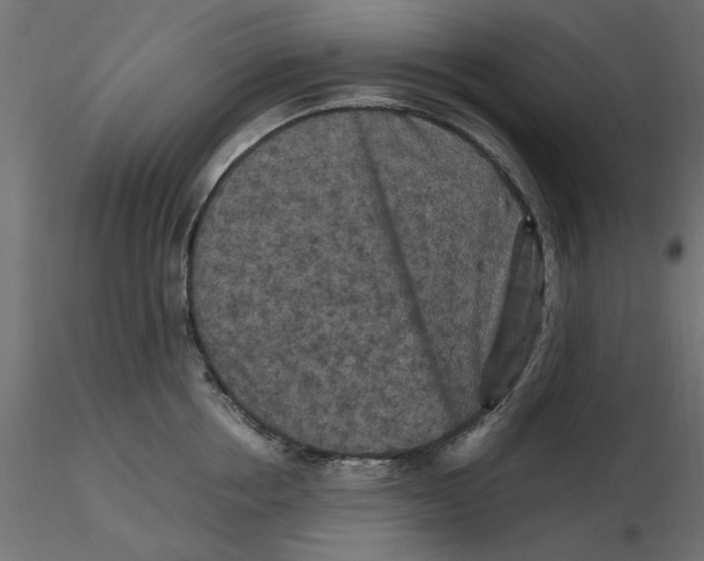 X0000116560858200912311931