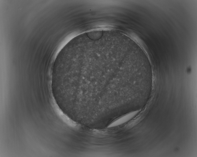 X0000116560859200912311931