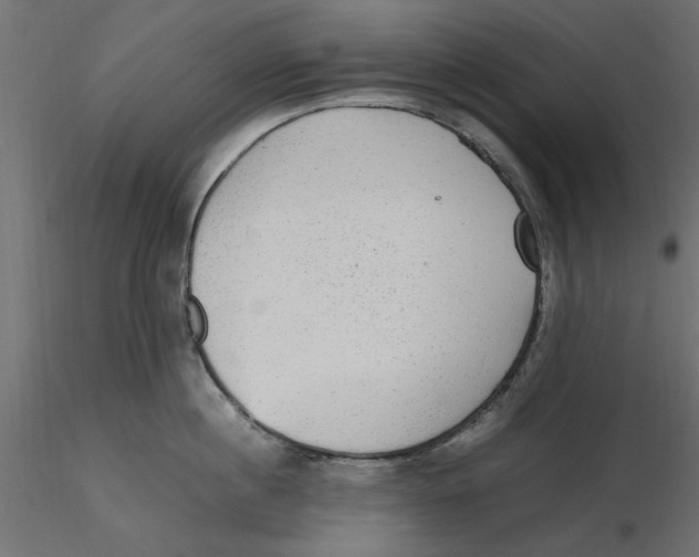 X0000116560860200912311931