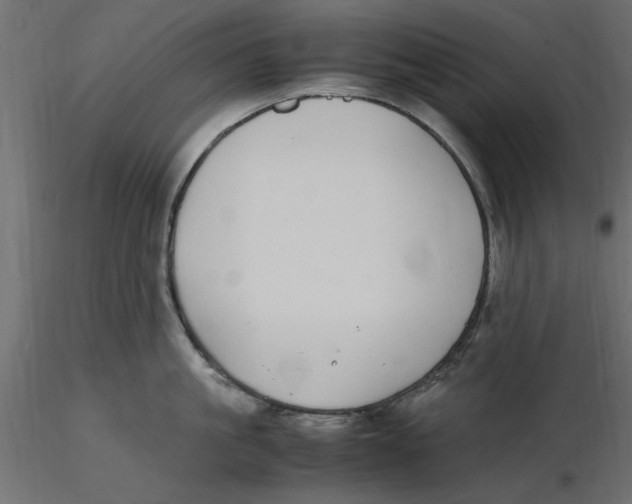 X0000116560861200912311931