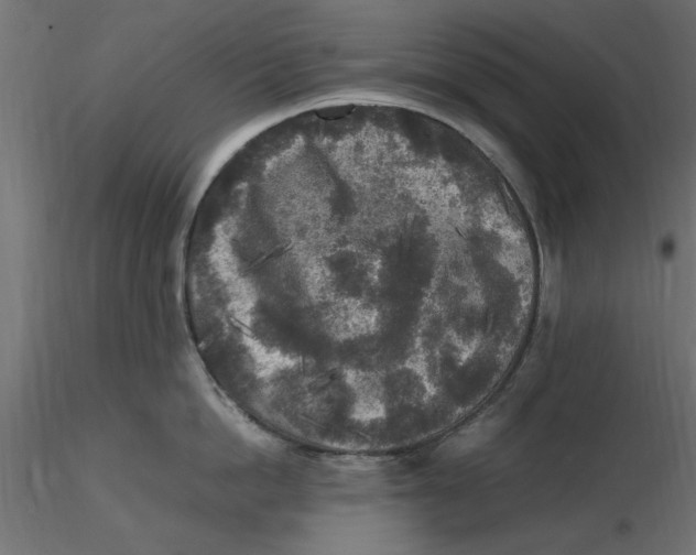 X0000116560862200912311931