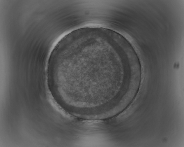 X0000116560864200912311931