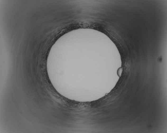 X0000116560865200912311930