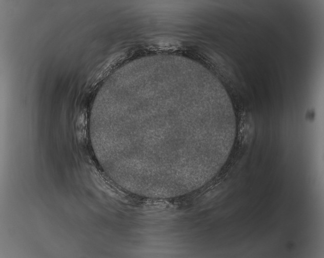 X0000116560866200912311930