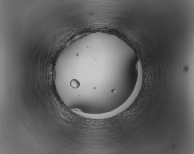 X0000116560868200912311930