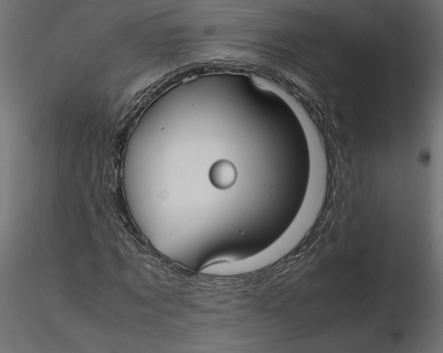 X0000116560869200912311930