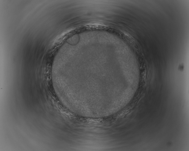 X0000116560870200912311930