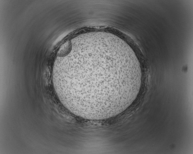 X0000116560871200912311930