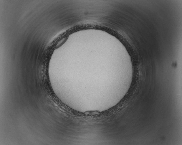 X0000116560872200912311930