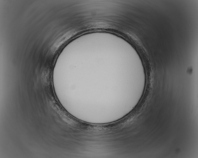 X0000116560873200912311930