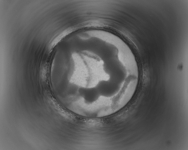 X0000116560874200912311930