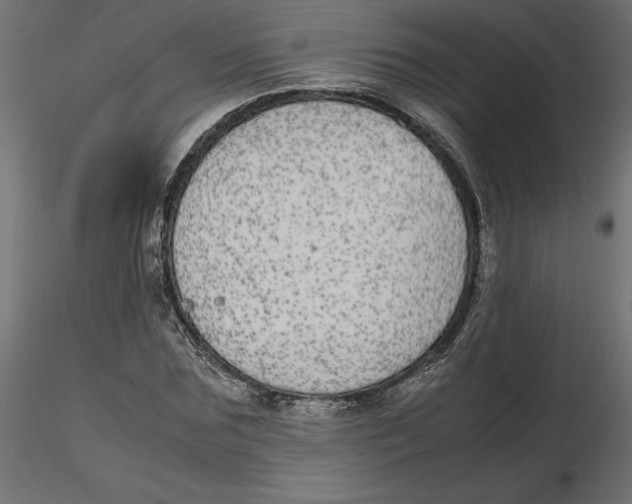 X0000116560875200912311930