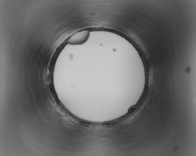 X0000116560876200912311930