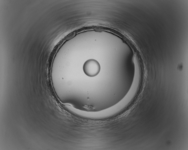 X0000116560877200912311930