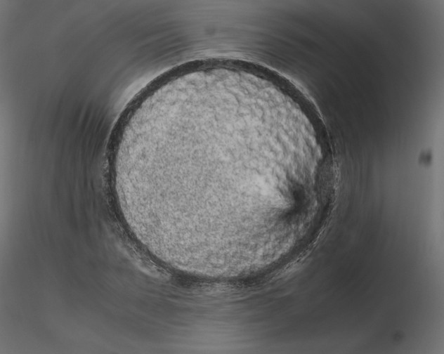 X0000116560879200912311930