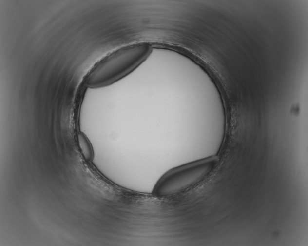 X0000116560880200912311930