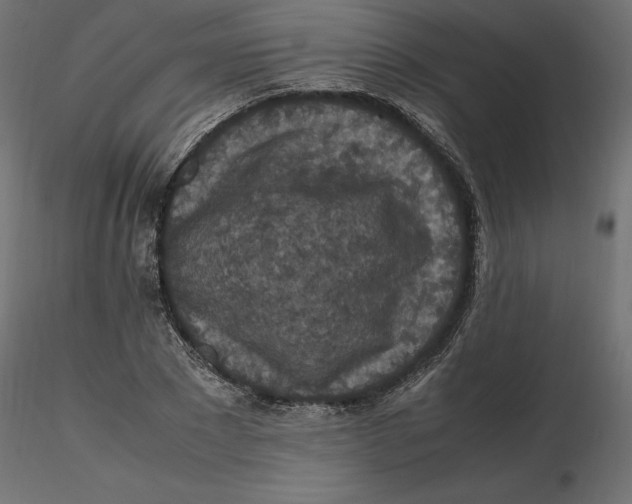 X0000116560881200912311930