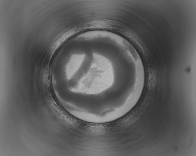 X0000116560882200912311930