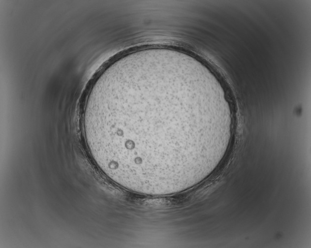 X0000116560883200912311930