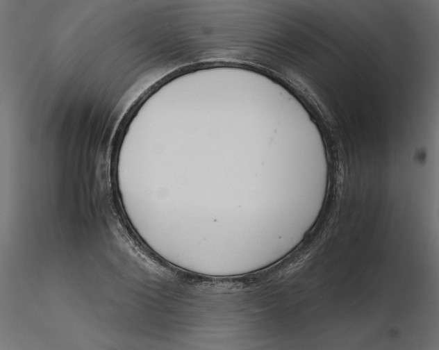 X0000116560884200912311930