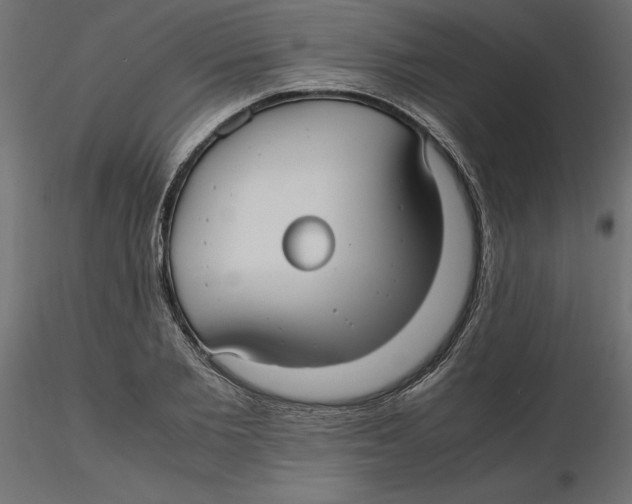 X0000116560885200912311930